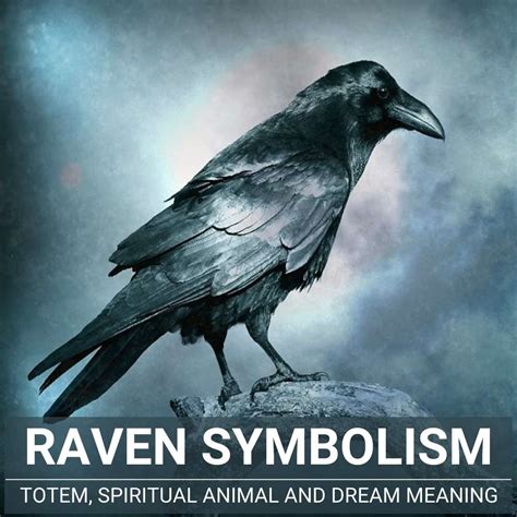 The Meaning of the Raven Symbol in Enigmatic Dreams