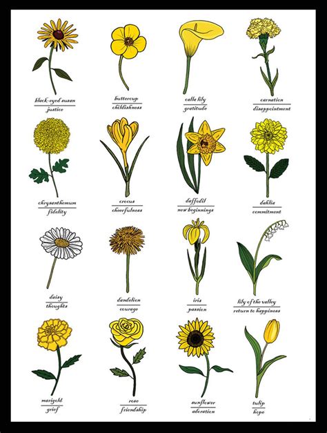 The Meaning of the Yellow Flower in Various Cultures