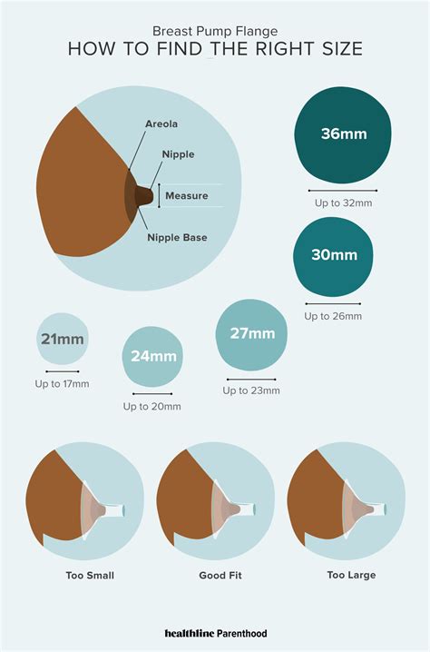 The Medical Significance of Additional Nipples in Humans