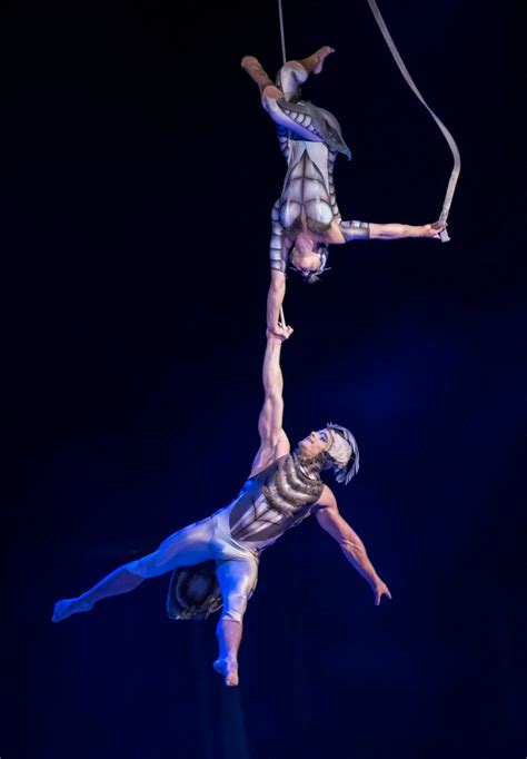 The Mesmerizing World of Circus Acrobats and Their Gravity-Defying Acts