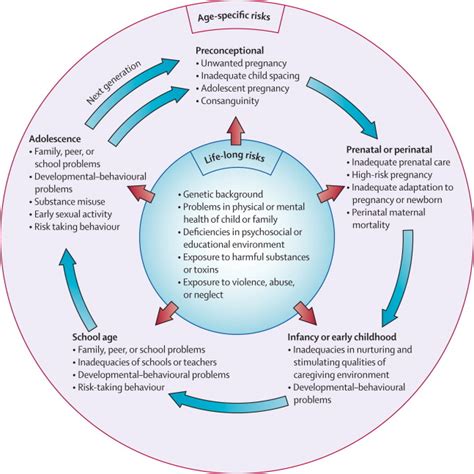 The Metamorphosis of Adolescents in the Educational Facility