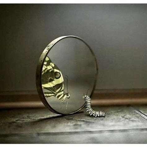 The Mirror as a Metaphor for Truth and Knowledge