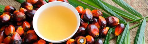 The Modern Commercialization and Sustainability Challenges of Palm Wine