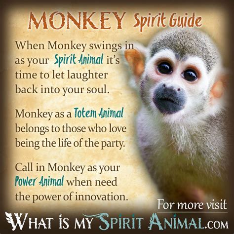 The Monkey Symbolism: Sign of Playfulness or Deeper Meaning?