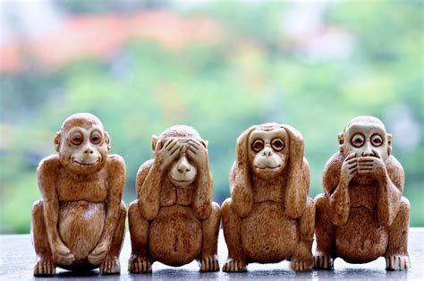 The Monkey in Different Cultures: From Wisdom to Mischief