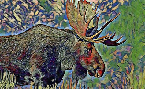 The Moose as a Symbol of Power and Strength