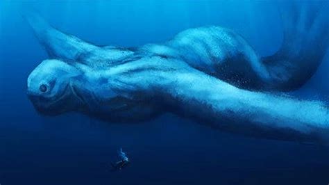 The Mysterious Elegance of Earth's Largest Aquatic Creature