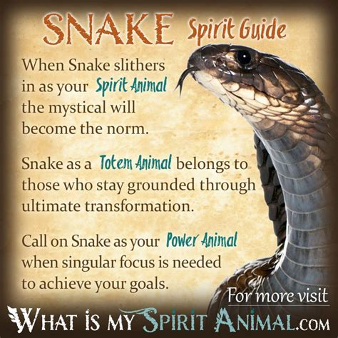 The Mysterious Importance of Serpent Transformation