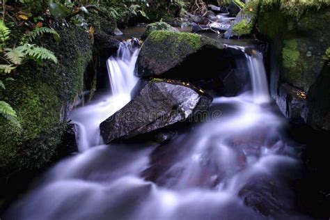 The Mysterious Origins of the Purple River