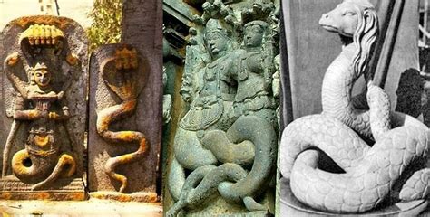 The Mysterious Presence of Serpents in Revered Spaces