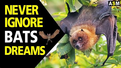 The Mysterious Realm of Bats in the World of Dreams