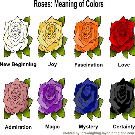 The Mysterious Significance of Roses throughout the Centuries