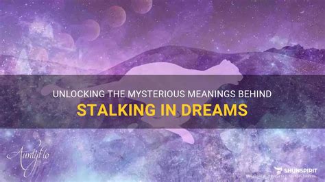 The Mysterious Vision: Unlocking the Hidden Meanings of Catching a Glimpse of a Mysterious Woman