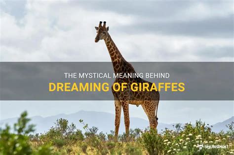 The Mystical Allure of Petite Giraffes