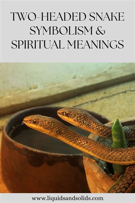 The Mystical Significance of a Serpent with Multiple Heads