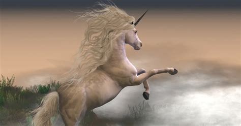 The Mystifying Enigma of the Unicorn Horn: Does it Exist in Reality or is it just a Myth?