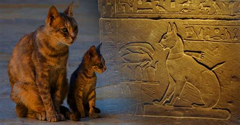 The Mythical Origins of the Cat's Elusiveness