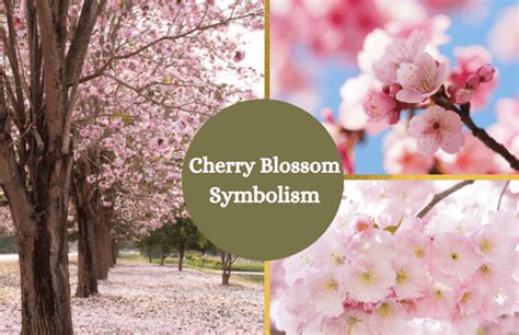 The Mythical Symbolism of the Sacred Blossom