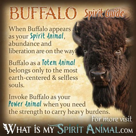 The Mythology and History Behind the White Buffalo: A Sacred Symbol in Native American Cultures