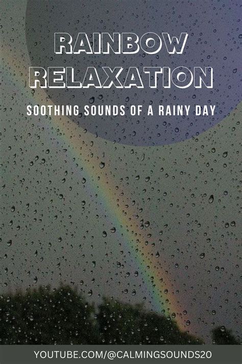 The Natural Symphony: Finding Tranquility on Rainy Days