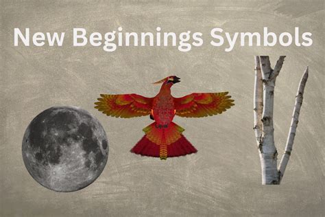 The New Moon: A Symbol of Fresh Beginnings and Metamorphosis