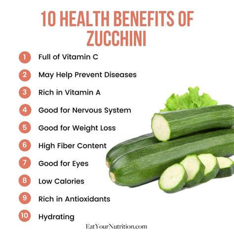 The Numerous Health Benefits of Incorporating Zucchini into Your Daily Diet