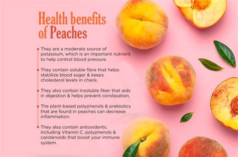 The Nutritional Benefits of Incorporating Peaches into Your Diet