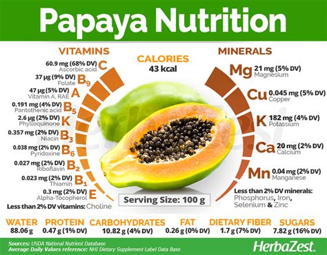 The Nutritional Benefits of Papaya: A Fruit Rich in Vital Vitamins and Minerals