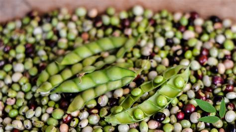 The Nutritional Benefits of Pigeon Peas for a Healthy Diet