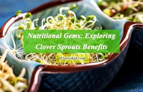 The Nutritional Powerhouse: Exploring the Health Advantages of Sprouts