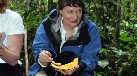 The Nutritional Powerhouse of Pawpaw Seeds