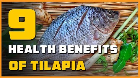 The Nutritional Value of Tilapia: Why Choose it for a Healthy Diet?