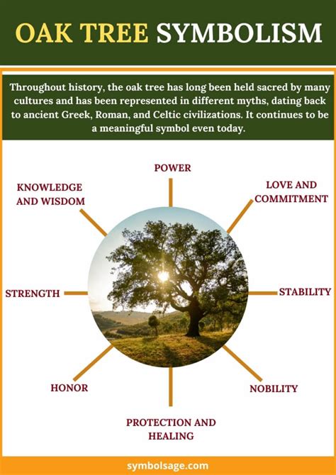 The Oak Tree as a Symbol of Wisdom and Knowledge