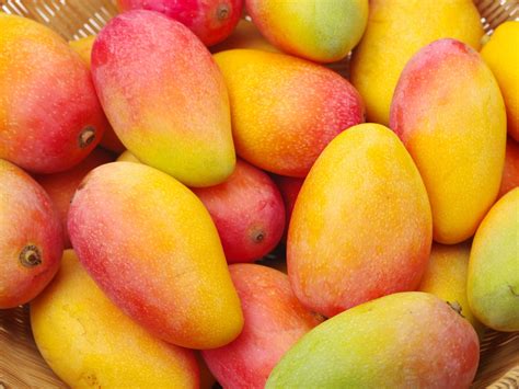 The Ongoing Passion for Delicious Mangoes