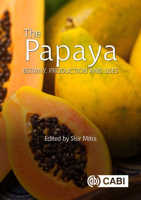 The Origin of the Enigmatic Papaya Harvest Dream