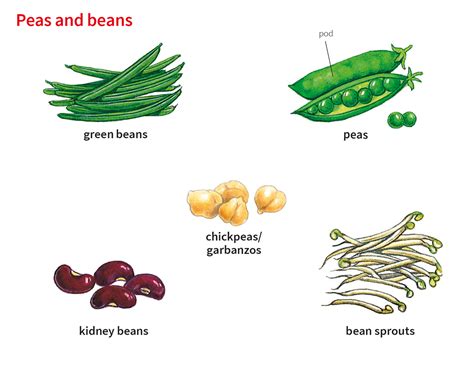 The Origins and History of Green Pods