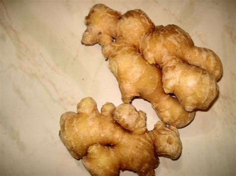 The Origins and Rich Past of Ginger