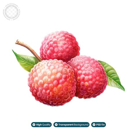 The Origins of Lychee: Tracing the Journey of an Exotic Tropical Delight