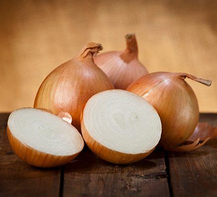 The Origins of Pale Ivory Onions: Exploring their Historical Beginnings