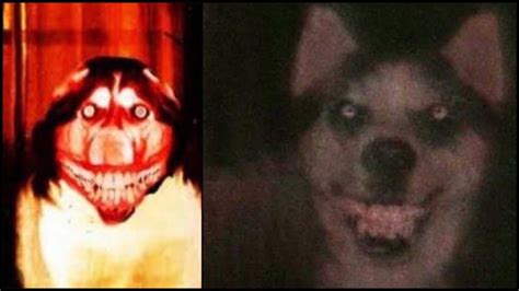 The Origins of Smile Dog: A Sinister Web Legend