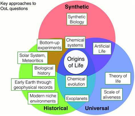 The Origins of the Concept