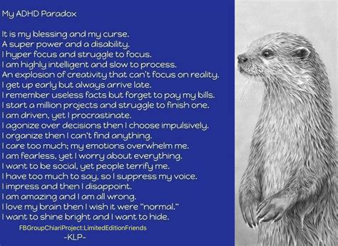 The Otter's Connection with Creativity and Imagination