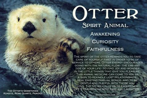 The Otter as a Messenger from the Spirit World