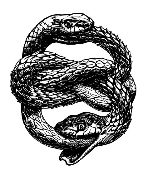 The Ouroboros: A Serpent Consuming Its Tail, a Symbol of Cycles