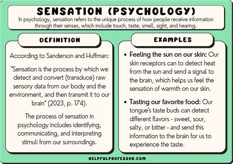 The Overwhelming Emotional Impact: Deciphering the Sensations and Sentiments Associated with the Enigmatic Vision