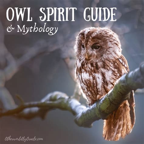 The Owl as a Guide during Times of Transition