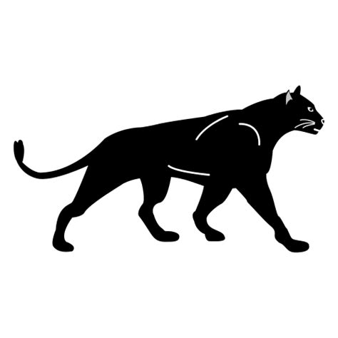 The Panther as a Symbol of Enigma and Dominance