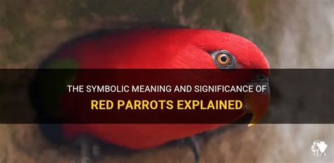 The Parrot's Art of Imitation: What Significance Does It Hold in a Dream?