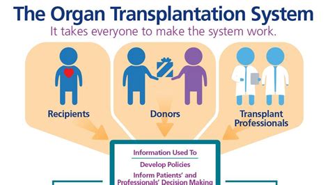 The Path to Recovery: Navigating the Intricate Process of Becoming Eligible for Organ Transplantation