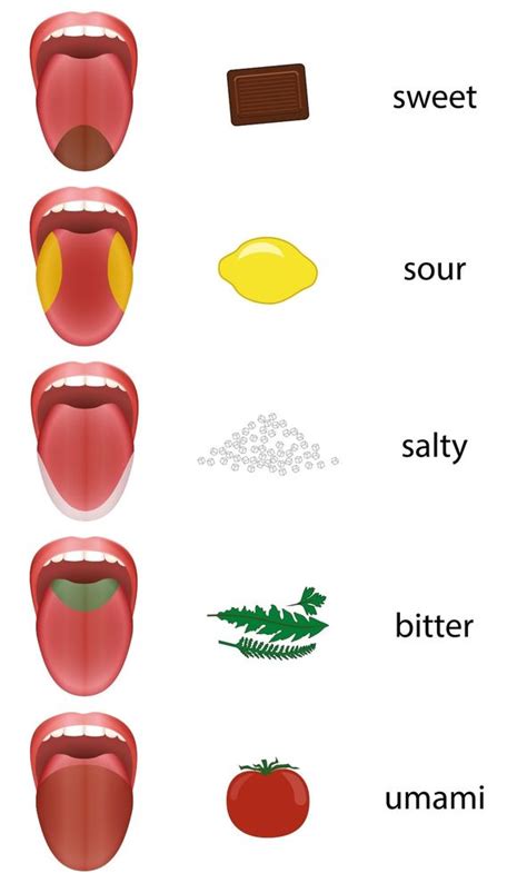 The Pathway to Discovering a New Tongue